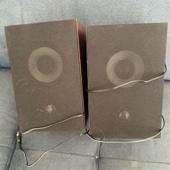 Pair of 5W wooden speakers