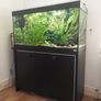 Fish tank Image 2