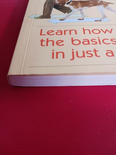21 Days to Train Your Dog/ Colin Tennant