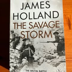 War book:'The Savage Storm The Brutal Battle For Italy 1943'
