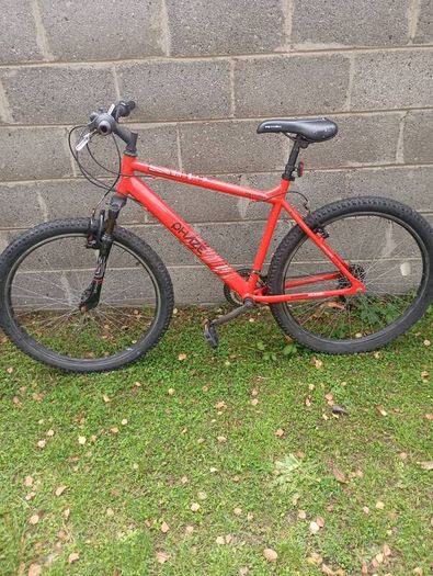 Mountain bicycle