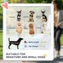 Dog Pram Dog Stroller Jogger Foldable Pet Pushchair for Medium, Small Dogs, w/ Rubber Wheels, Washable Cushion - Grey Image 6