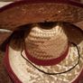 hats brand new Image 2
