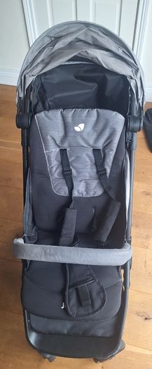 Toddler Travel Buggy