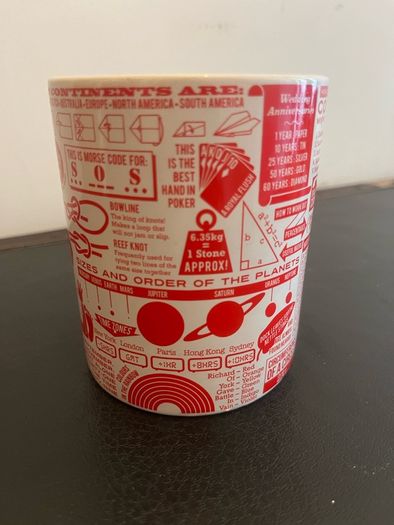 Ginger Fox Trivia Facts Large Mug