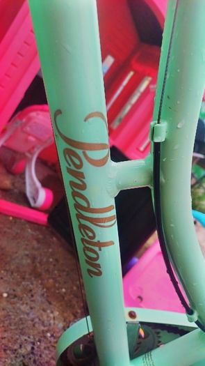 lady bikes