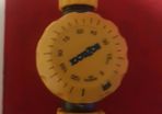 Hazelock water timer new