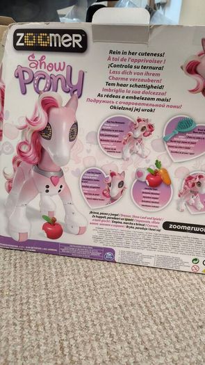 Zoomer show pony
