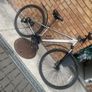 Trek dual sport 7 Image 4