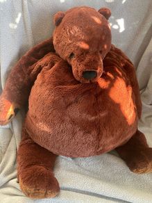 Bear