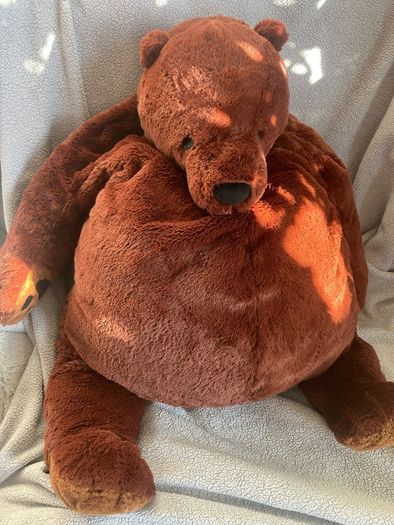 Bear