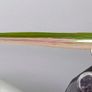 Bass/Saltwater Flies Image 2