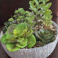Artificial Plant/Mini Garden of Succulents of Different Varieties & Sizes