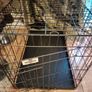 Large pet crate Image 4
