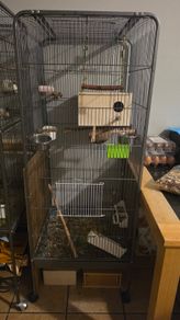 cage