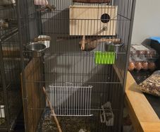 cage