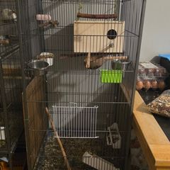cage