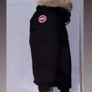 Canada goose jacket Image 3