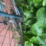 Vintage Raleigh road bike Image 5