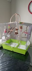 Birds Cage and Toys