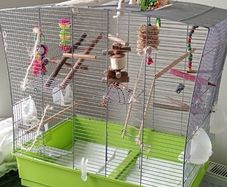 Cage