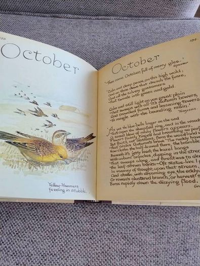 The Country Diary of an Edwardian Lady 1979 by Edith Holden in very good condition with some wear to the dustcover see photos FREE STANDARD POSTAGE INCLUDED