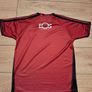 Down GAA Jersey Image 3