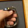 Gucci Watch Image 8