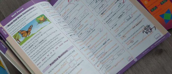 English in practice and mental Maths 4  please read description below