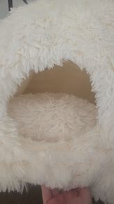 Cat Bed