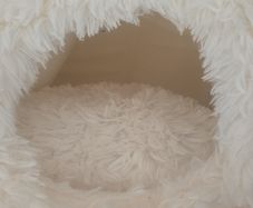 Cat Bed