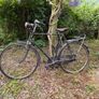 Vintage Rudge Bicycle. Image 6