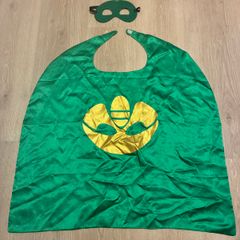 Fancy dress - PJ mask Gekko