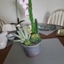 Cactus plants artificial potted Image 2
