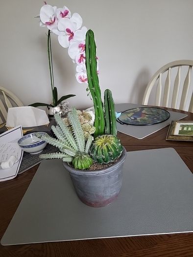 Cactus plants artificial potted