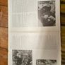 Van Morrison vinyl lp Image 3