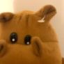 Hippo Image 2