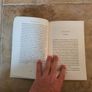 Days Without End by Sebastian Barry. Image 4