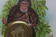 Chimpanzee Sierra Leone 1983 WWF coin stamp cover Pan Troglodytes