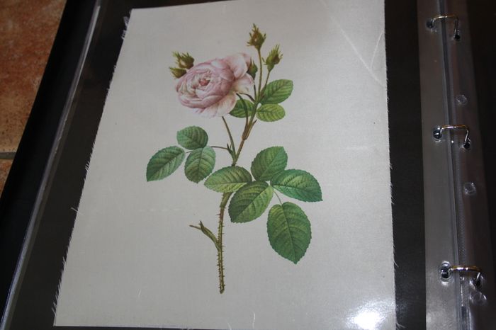 unframed silk picture