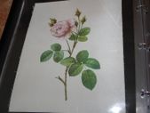 unframed silk picture