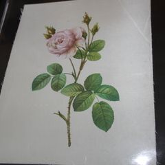unframed silk picture