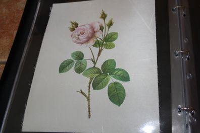 unframed silk picture