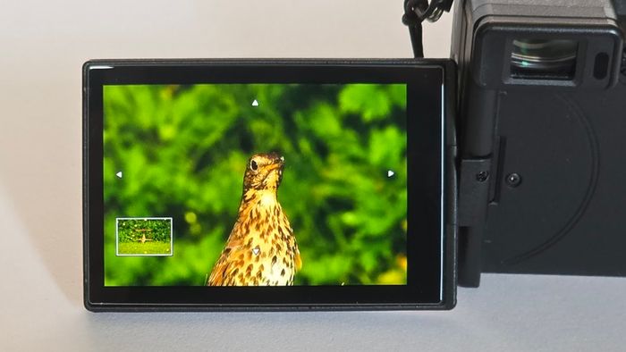 Sony A6700 With 16-50 PZ OSS lens