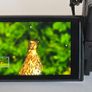 Sony A6700 With 16-50 PZ OSS lens Image 9