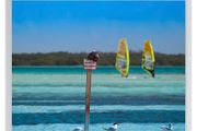 Windsurfing Photography Print