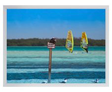 Windsurfing Photography Print