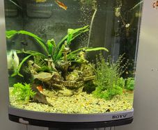80L fish tank and stand