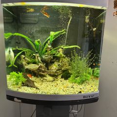 80L fish tank and stand