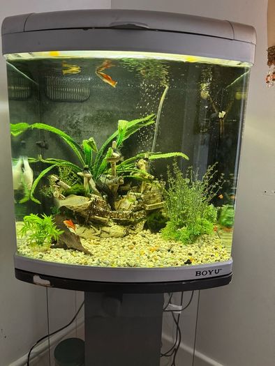 80L fish tank and stand